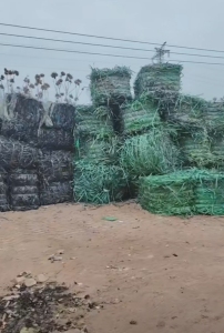 大量求购PET打包带毛料，破碎用