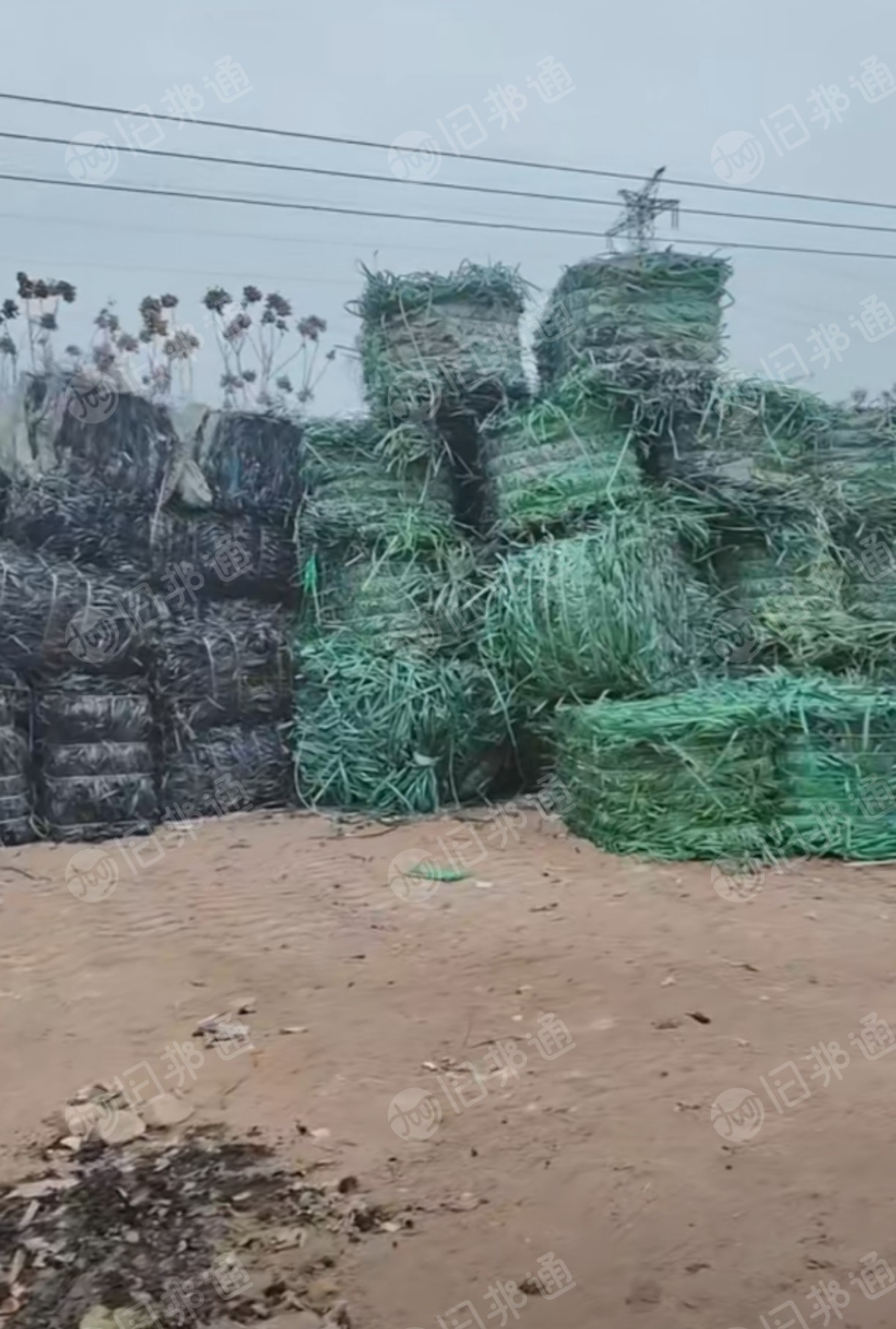 大量求购PET打包带毛料，破碎用