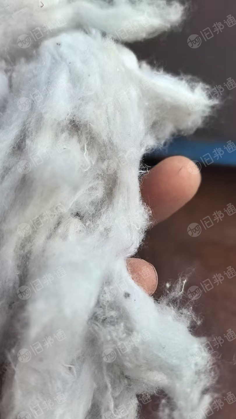 长期出售绗棉开花棉，开松棉，月供百来吨，货在浙江金华