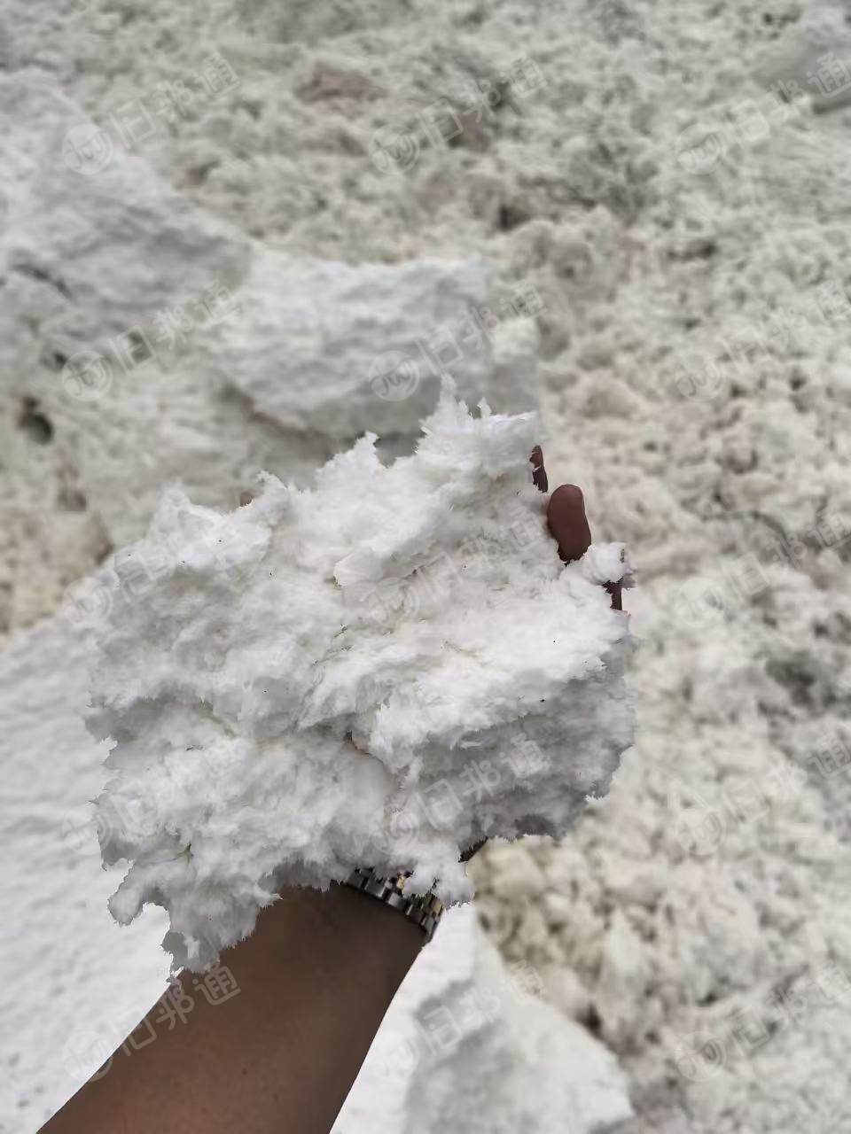 长期出售白色尾浆，竹木混合浆，干度18%～20%