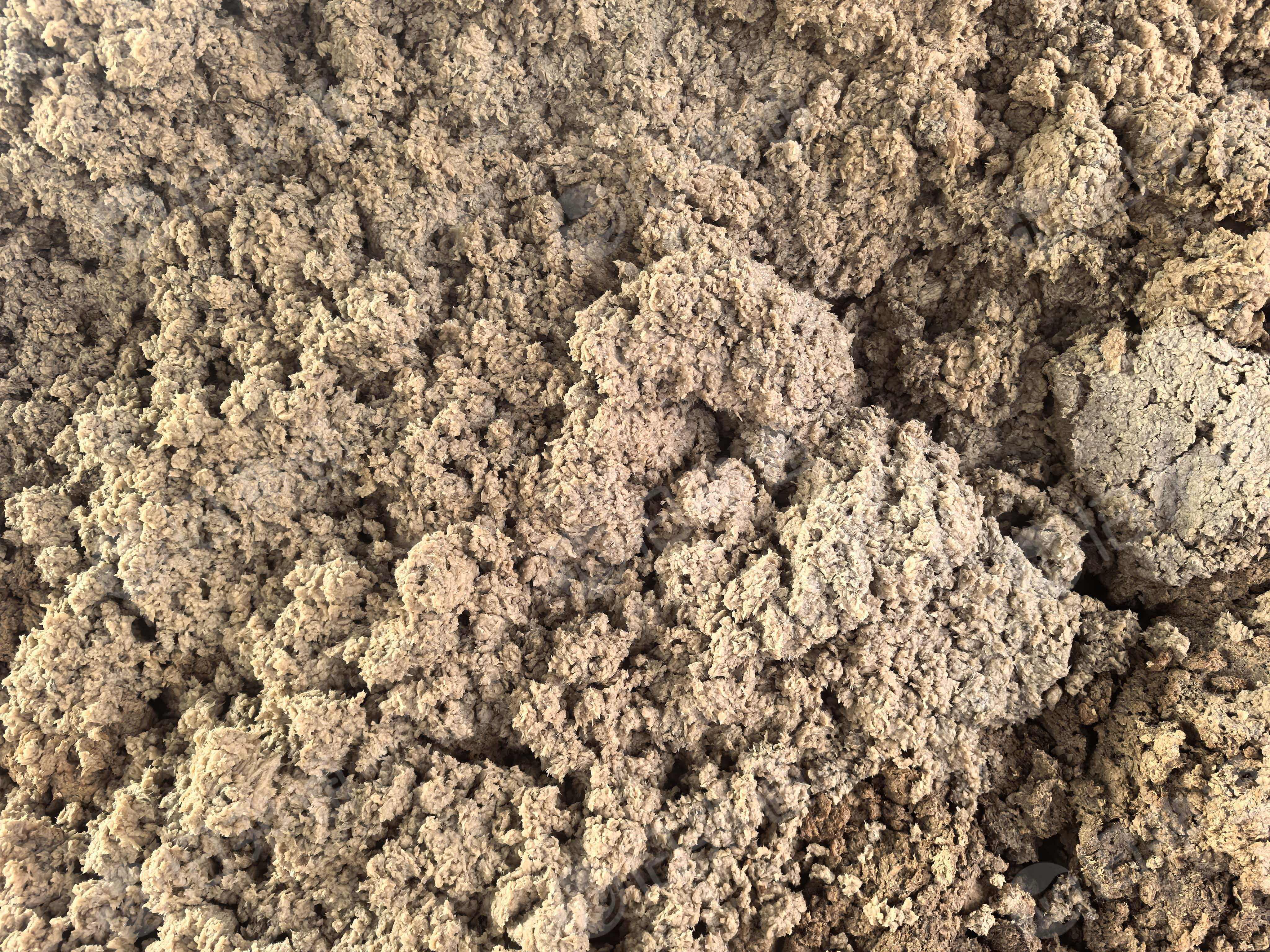 长期出售本色纸厂尾浆，含水百分八十多