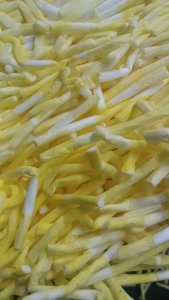 出售废醋酸纤维，可以做塑料托盘，牙刷柄，眼镜框等，现货13吨左右