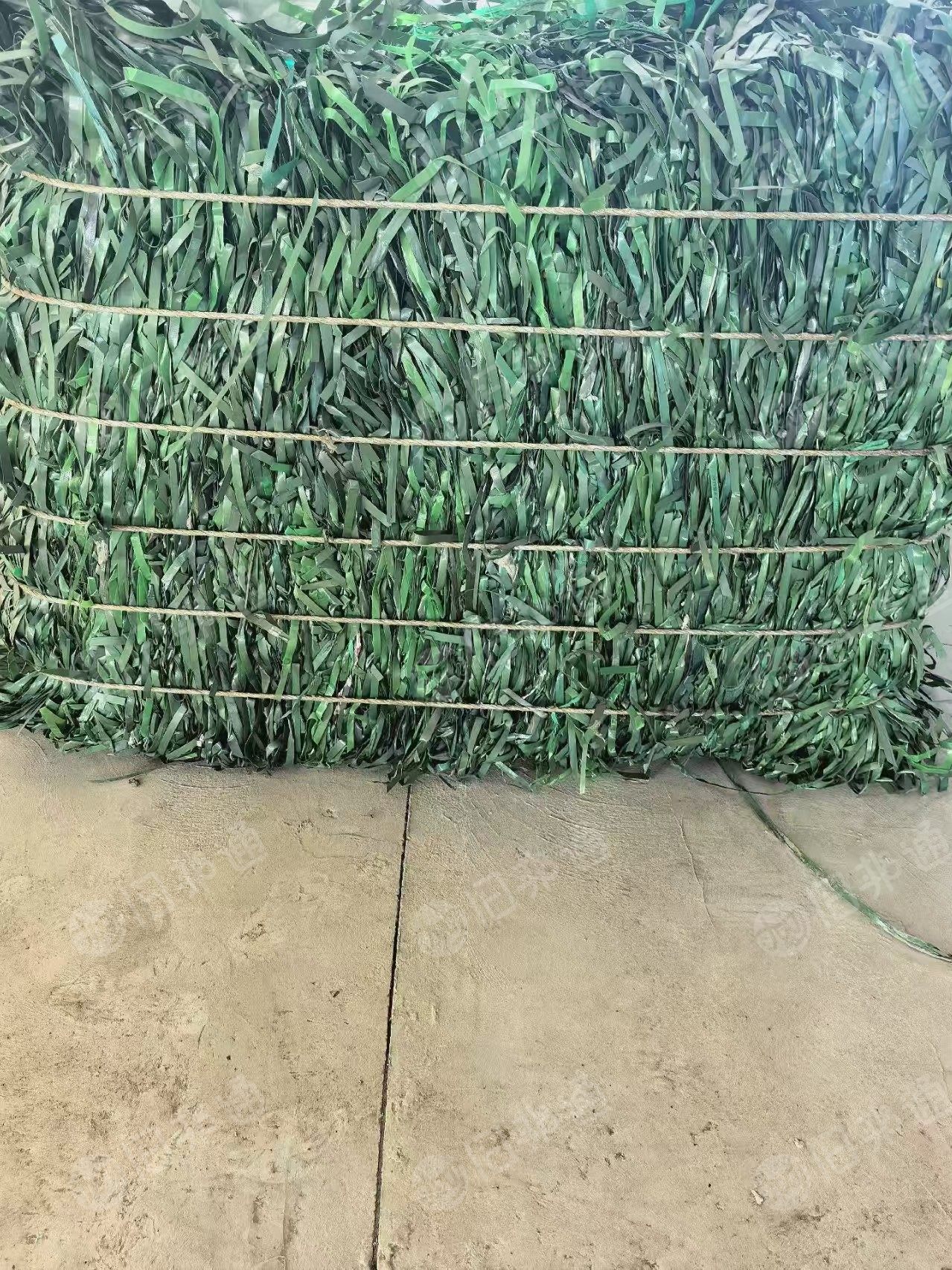 长期出售pet打包带废料