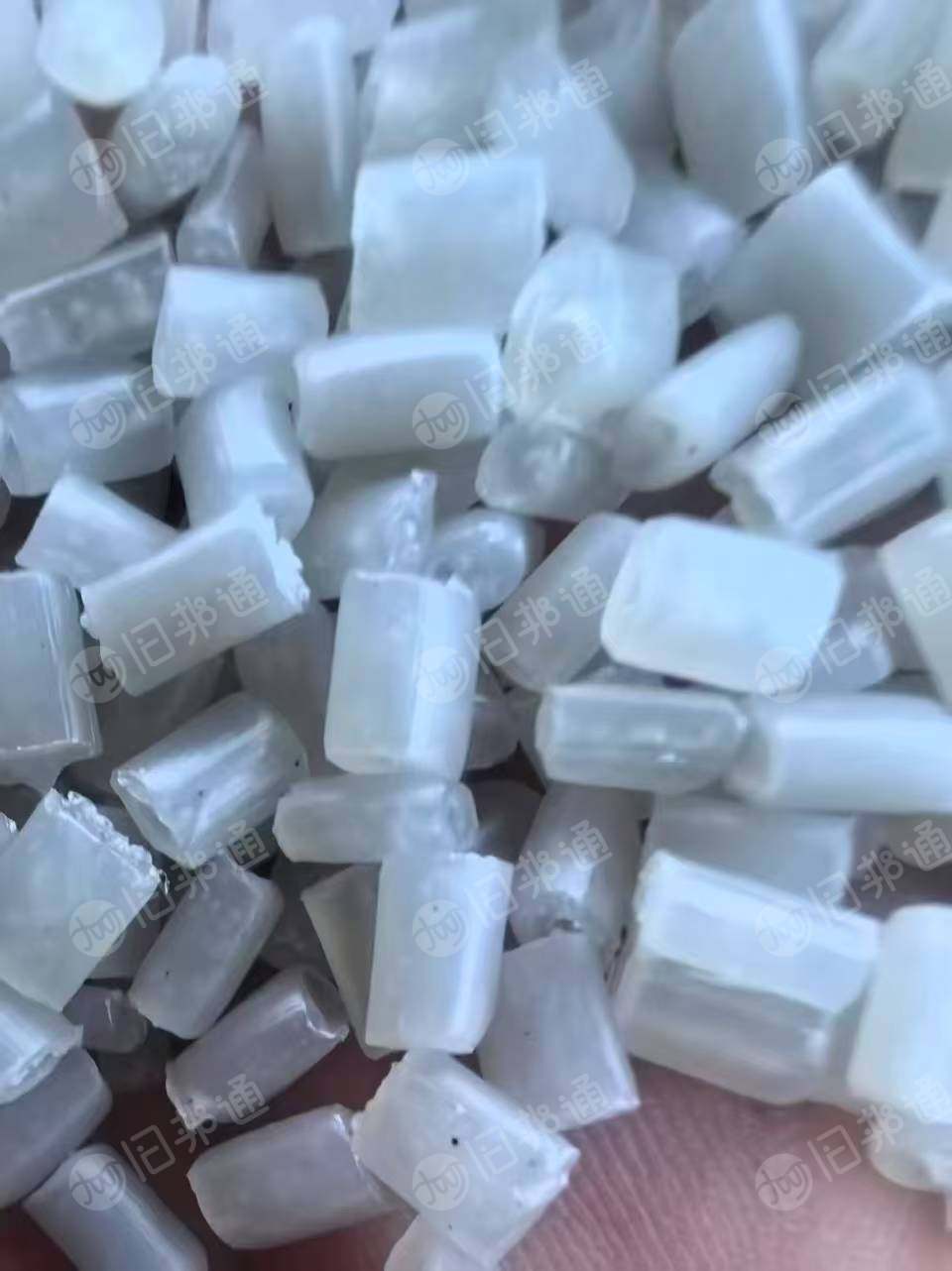 出售PP颗粒，面包皮下来的聚丙颗粒，用80目的网可以拉丝，价格合适，长期供货