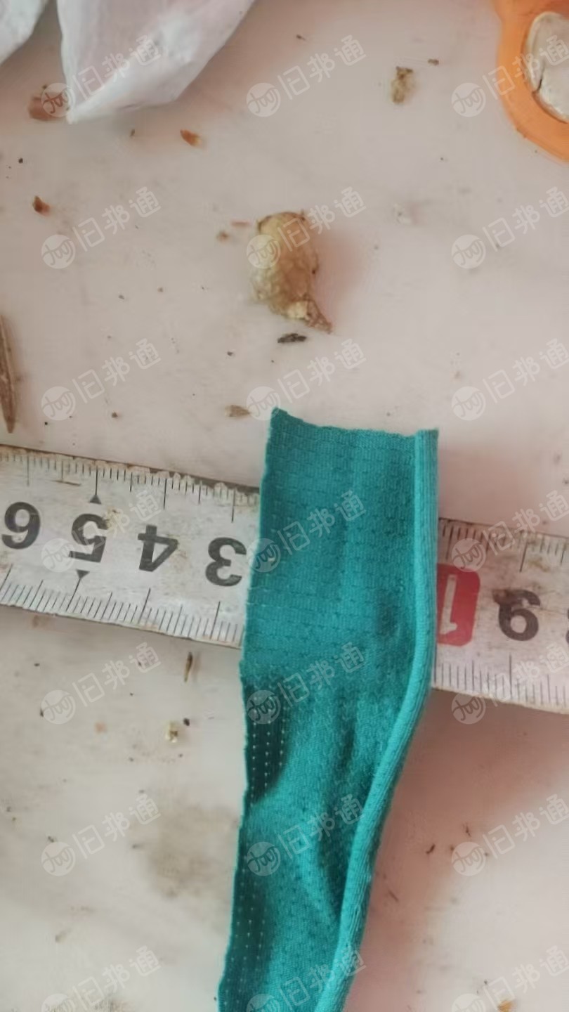 回收涤氨布条，锦氨布条，牛奶丝布条，捆果树枝用，要求有带弹力