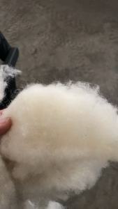 出售做被子切下来的羊毛料，羊毛，现货一吨多