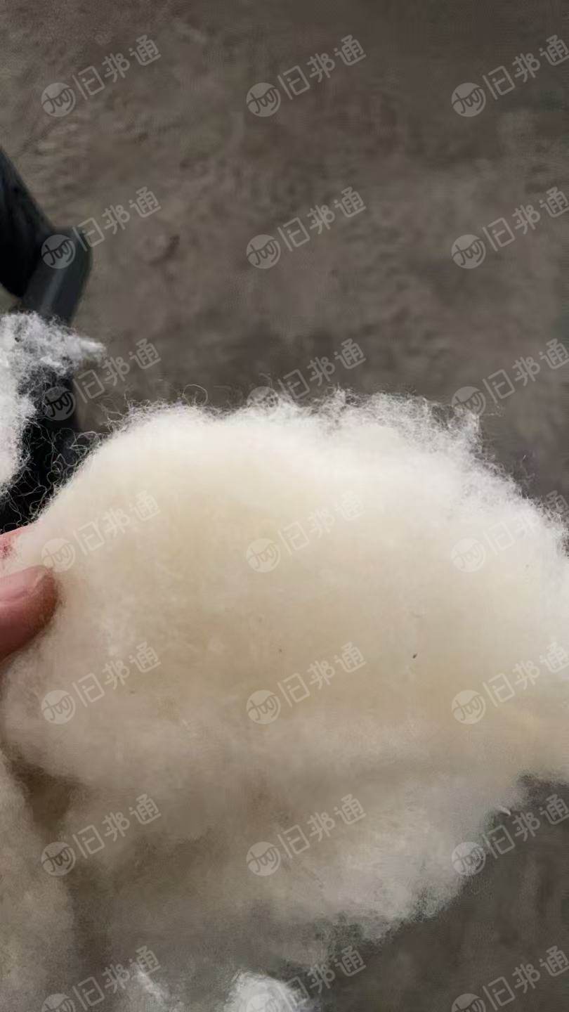 出售做被子切下来的羊毛料,羊毛,现货一吨多