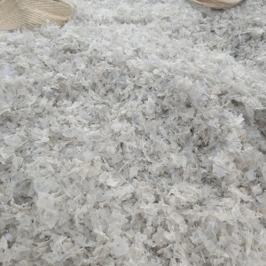 出售pet秧盘破碎料，每个月100多吨