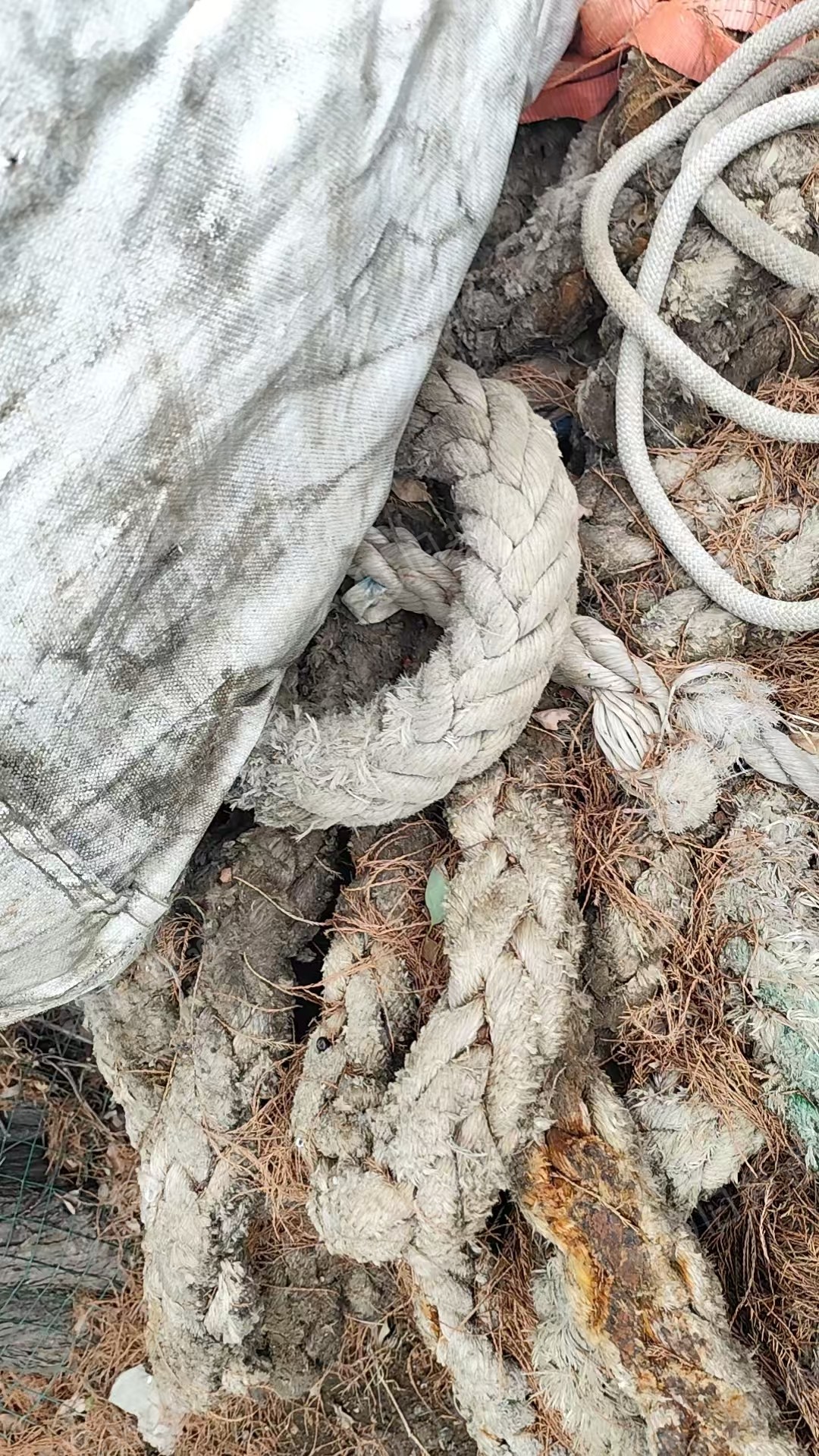 长期出售缆绳，吊带，安全带等，统货出，现货有20几吨，货在江苏苏州