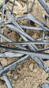 出售滴灌带废料，贴片，长期有货