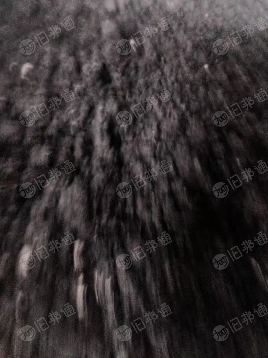 长期出售涤纶泡料，黑色的，现货够车