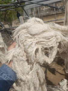 长期大量出售漂白纯棉废纱，含水十几个左右，月供300多吨，货在山东济南