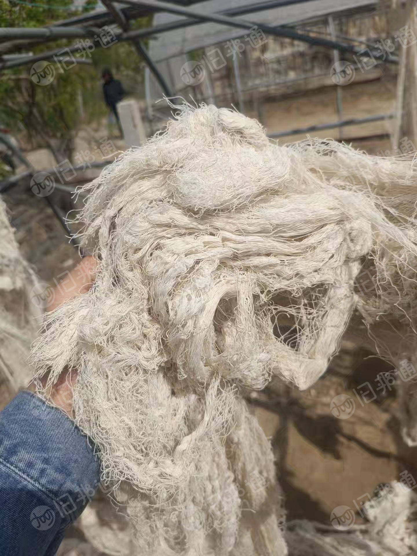 长期大量出售漂白纯棉废纱，含水十几个左右，月供300多吨，货在山东济南