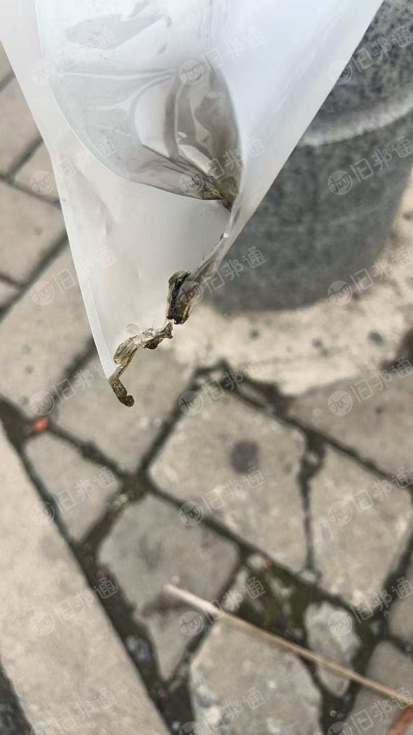 长期出售PO减粘膜废料（PE和PP复合的），现货16吨左右