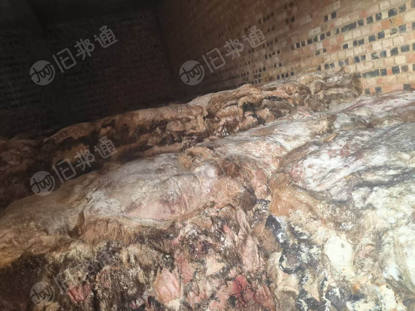 出售羊身上拔下来的羊皮，纯羊皮，200吨左右，货在新疆伊犁