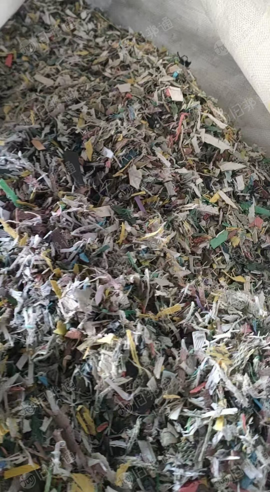 出售杂色PP打包带破碎料，飘沉一起，现货30多吨