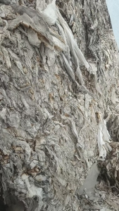 出售木浆卫生纸边角料