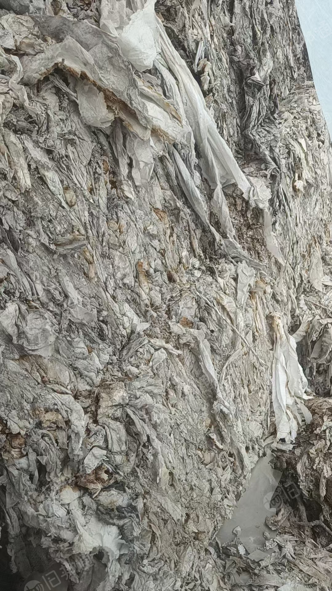 出售木浆卫生纸边角料