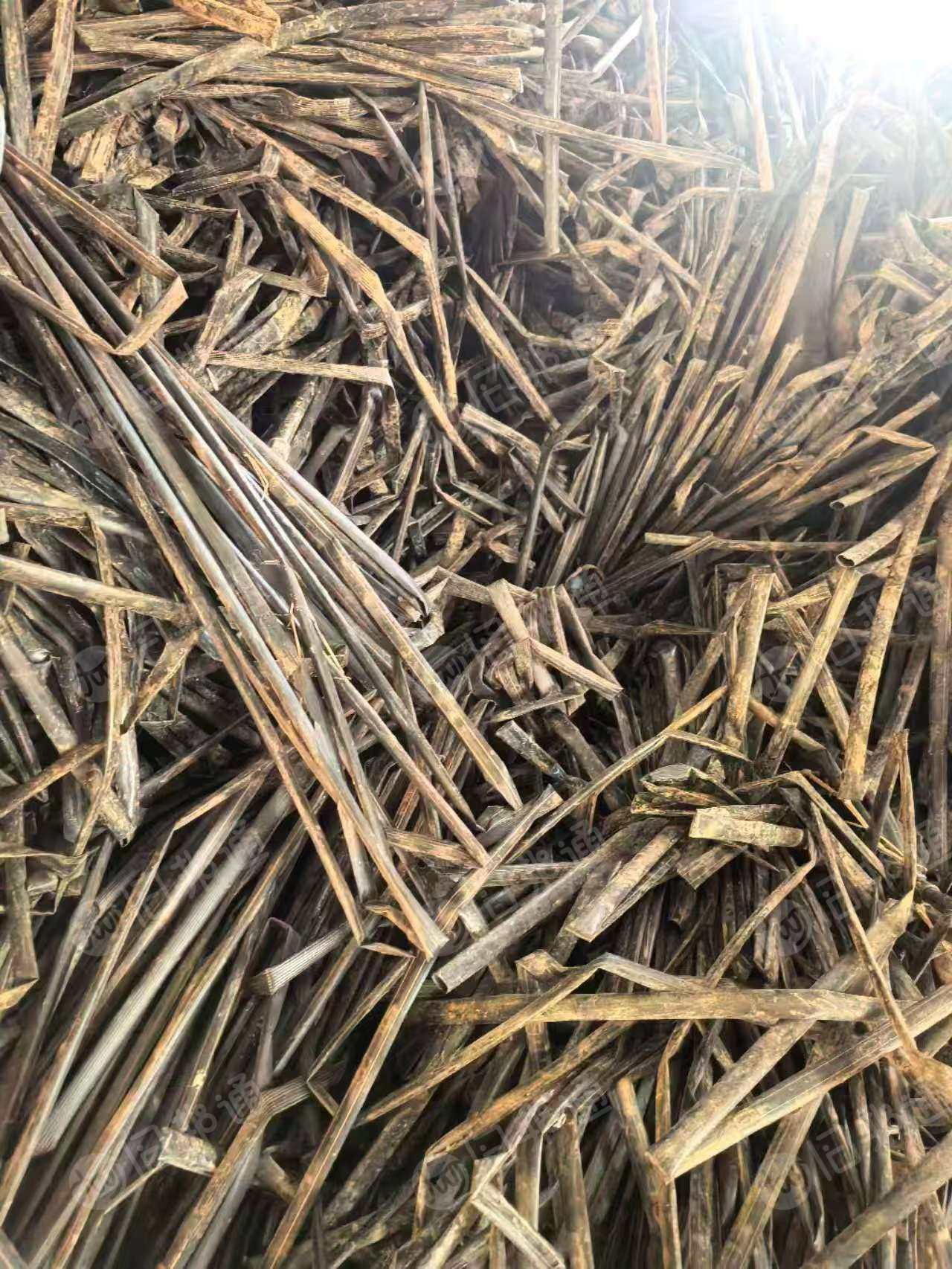 求购废旧滴灌带,贴片,月需2000吨