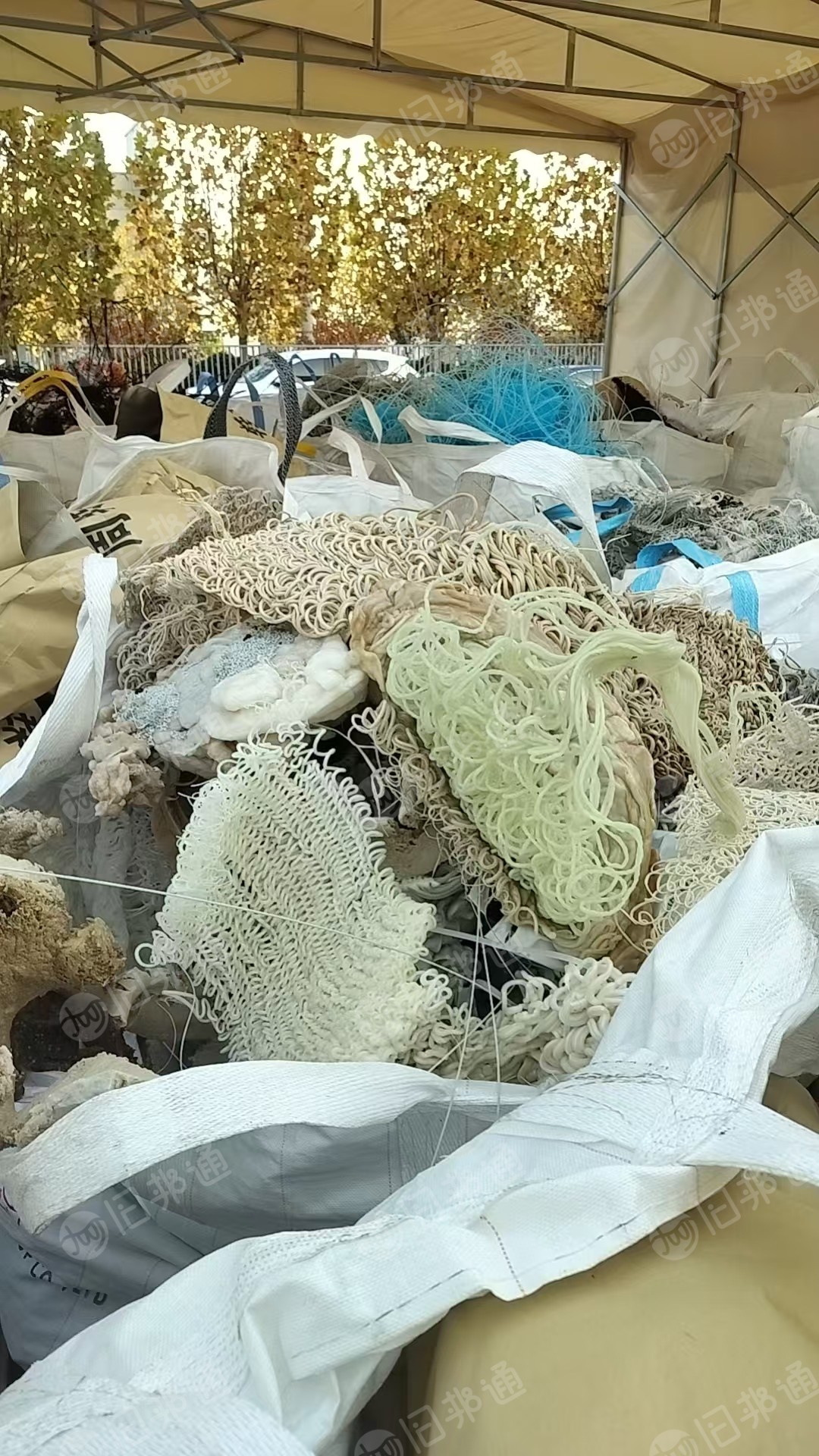 长期出售pp机头料，月供30吨左右