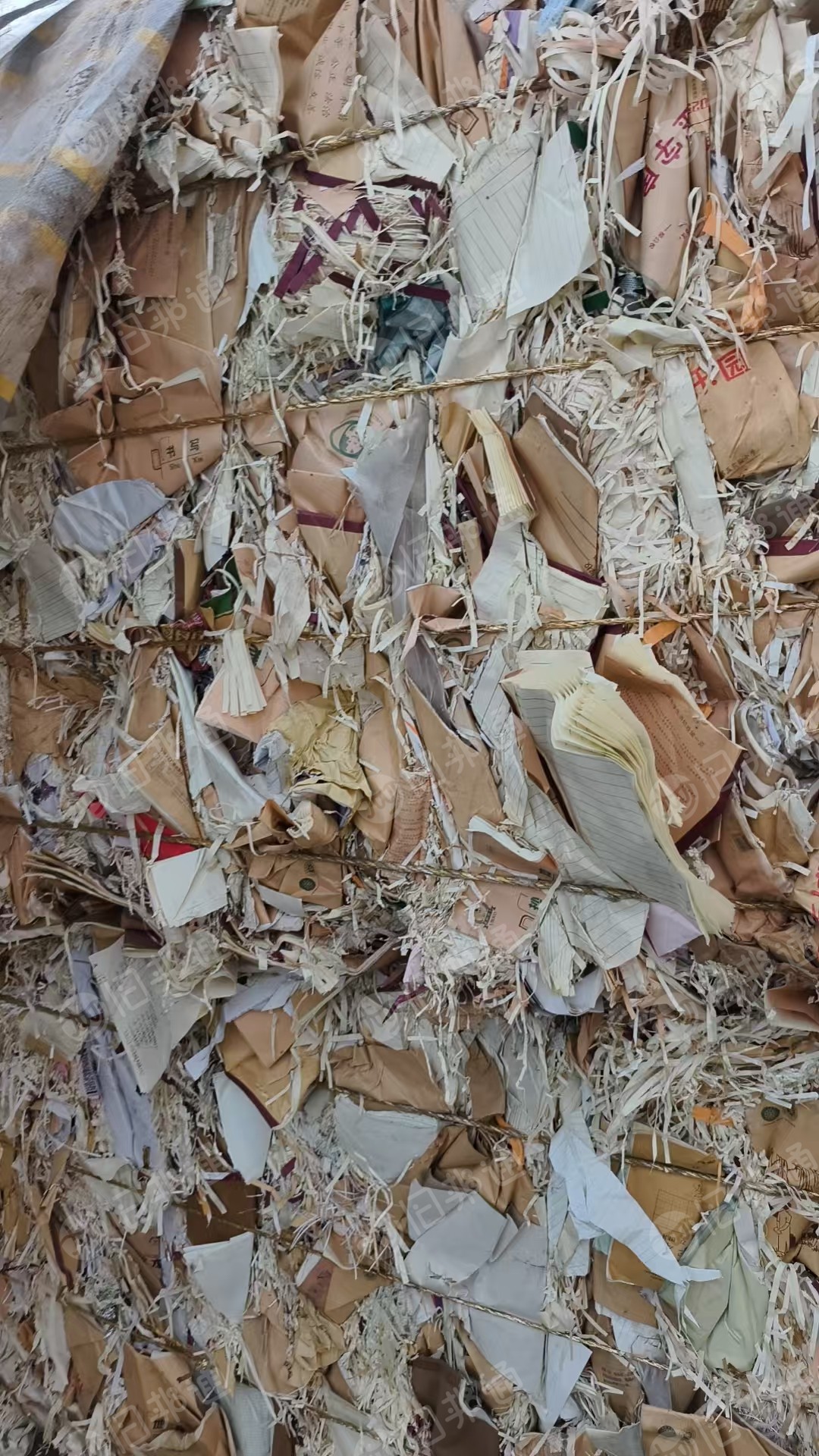 大量收购切本牛皮边，甲牛，牛皮封面纸都可以