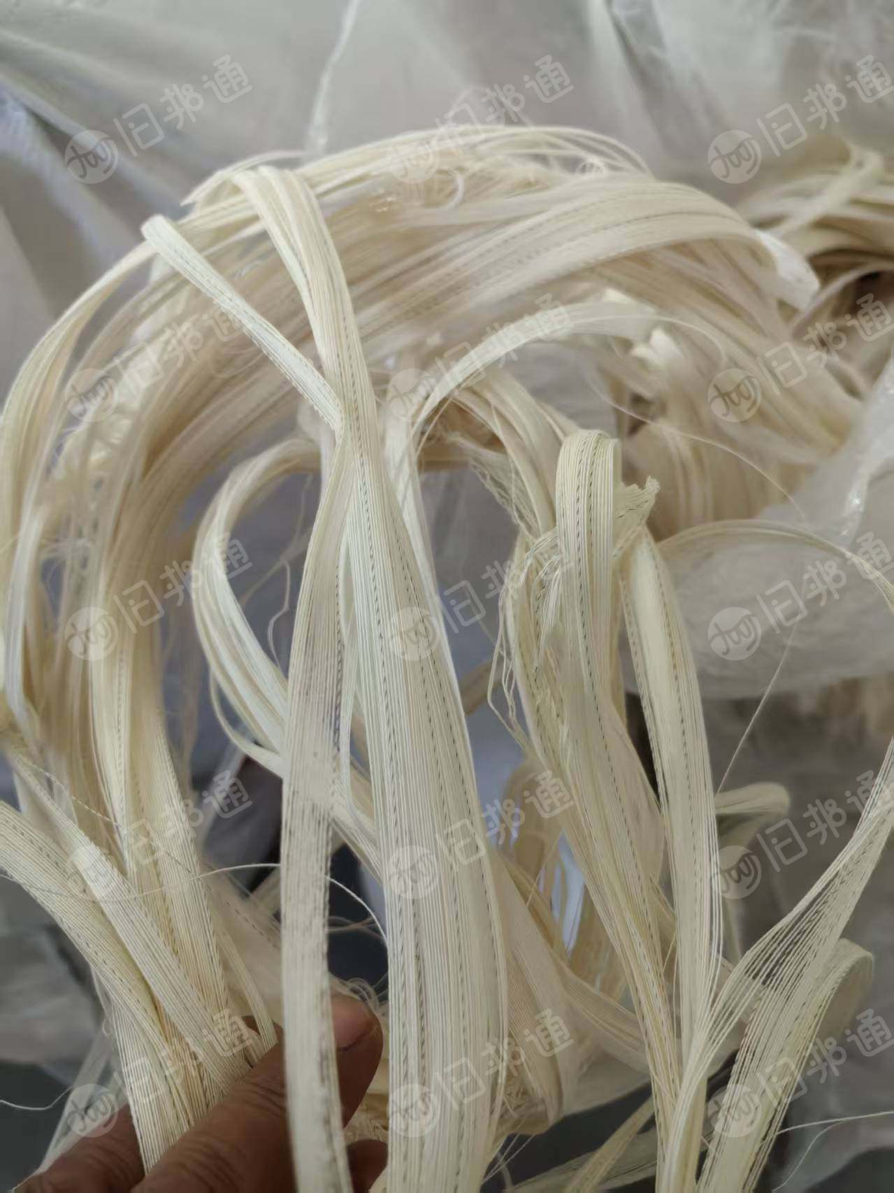 长期出售织布厂下来的纯棉废纱，废纱线，含浆，月供30吨，货在新疆库尔勒。