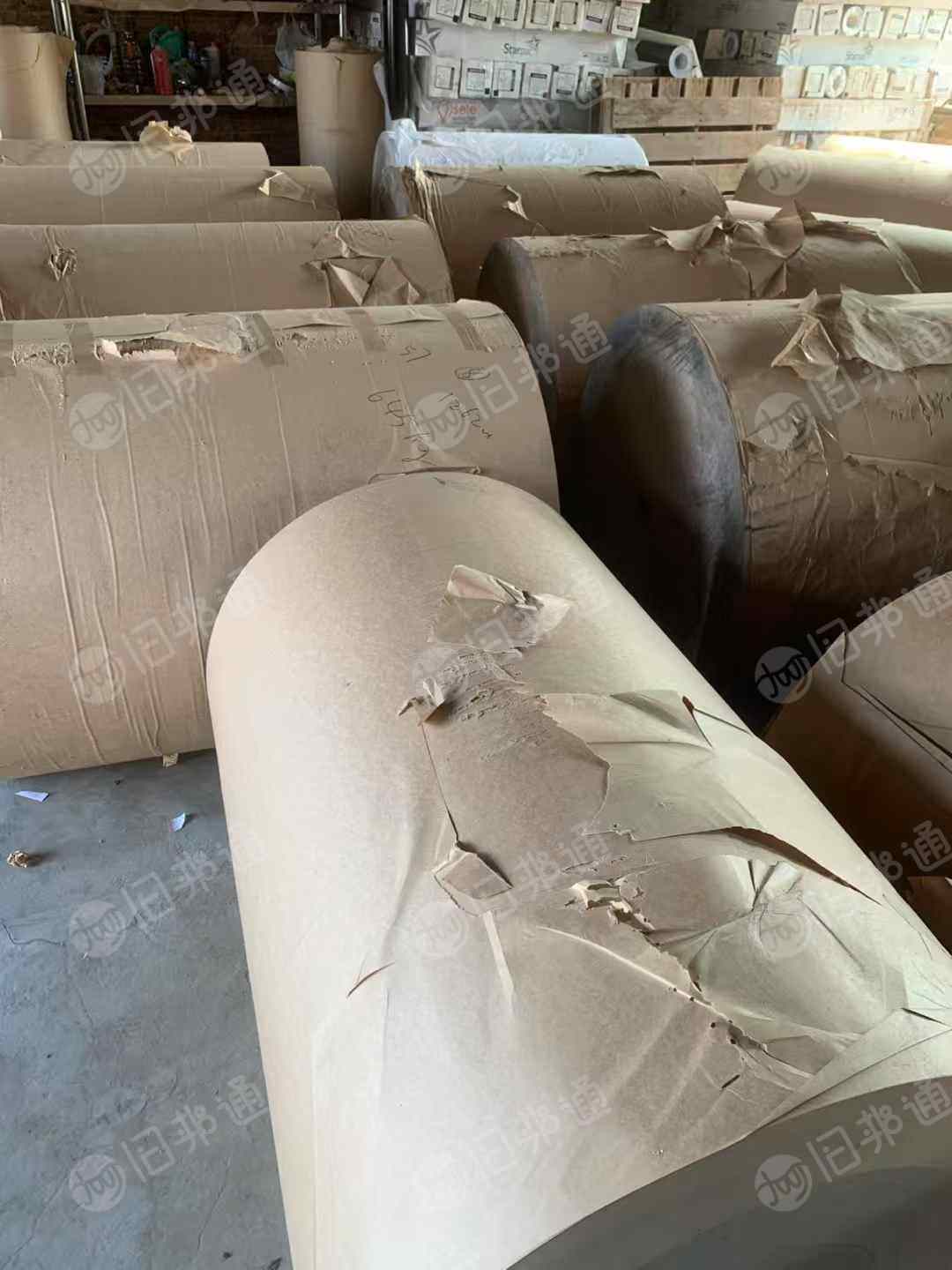 长期出售进口卷筒牛皮纸