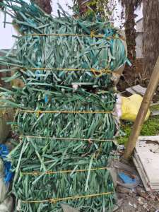 出售PET打包带废料，现货十五六吨