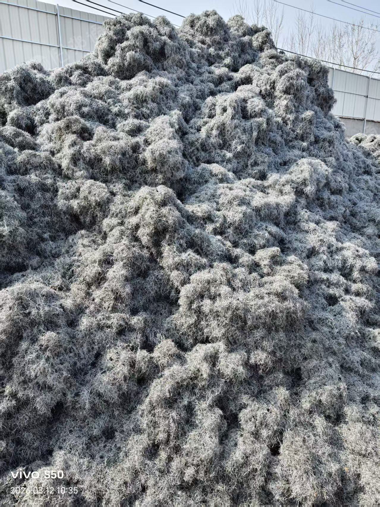 长期出售轮胎钢丝