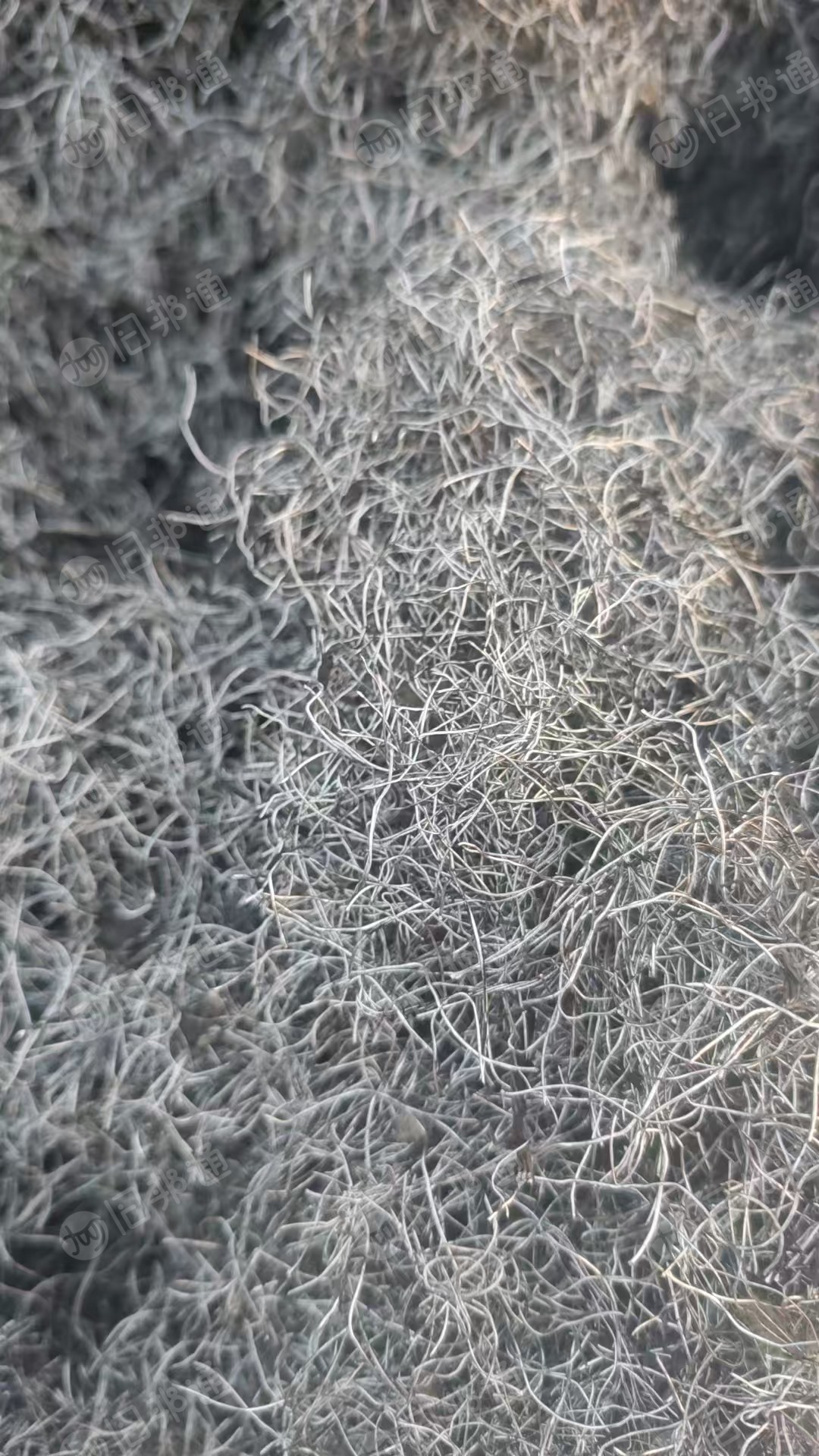 长期出售轮胎钢丝