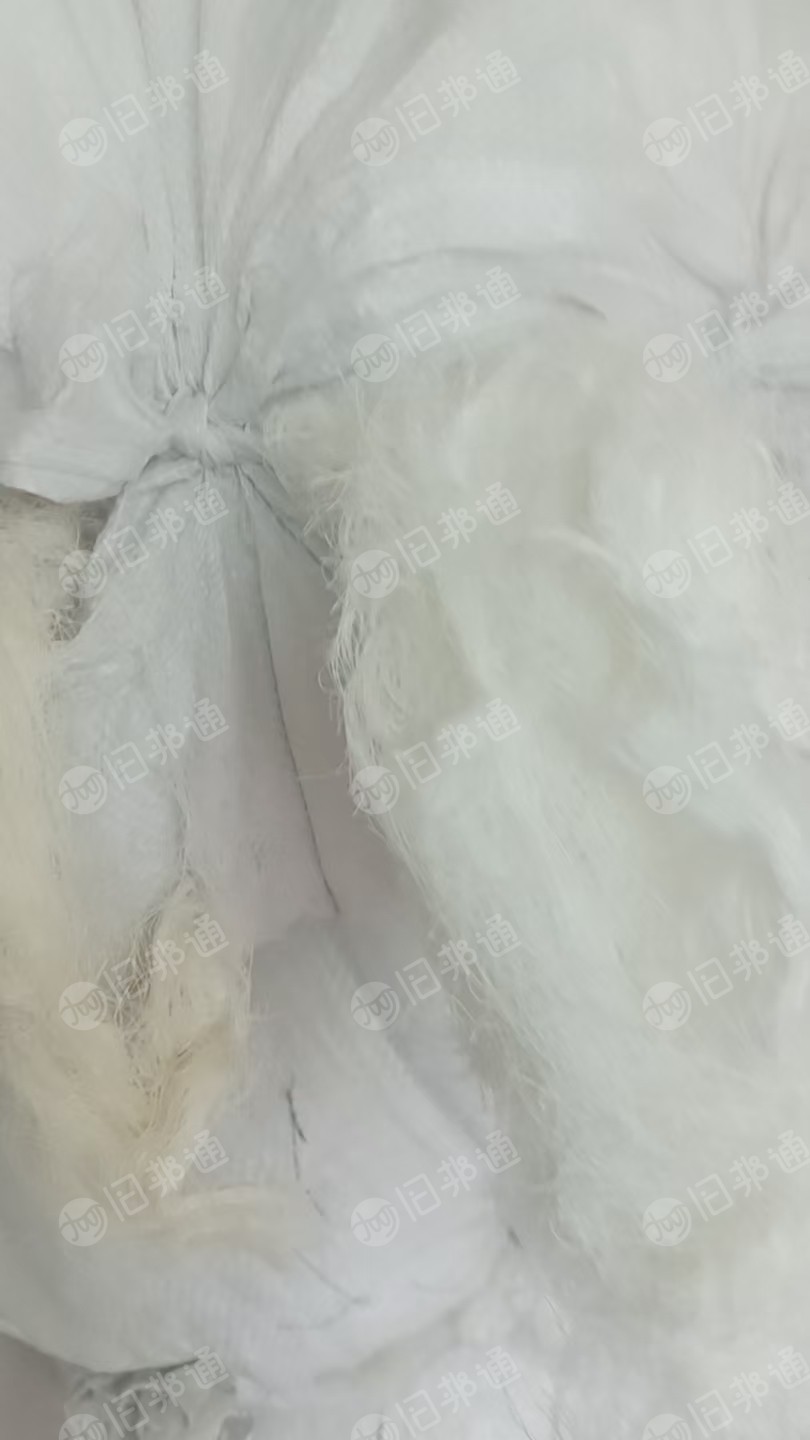 长期出售环锭纺下来的本白涤棉废纱，含棉60-70左右，现货有8吨左右，货在河北石家庄