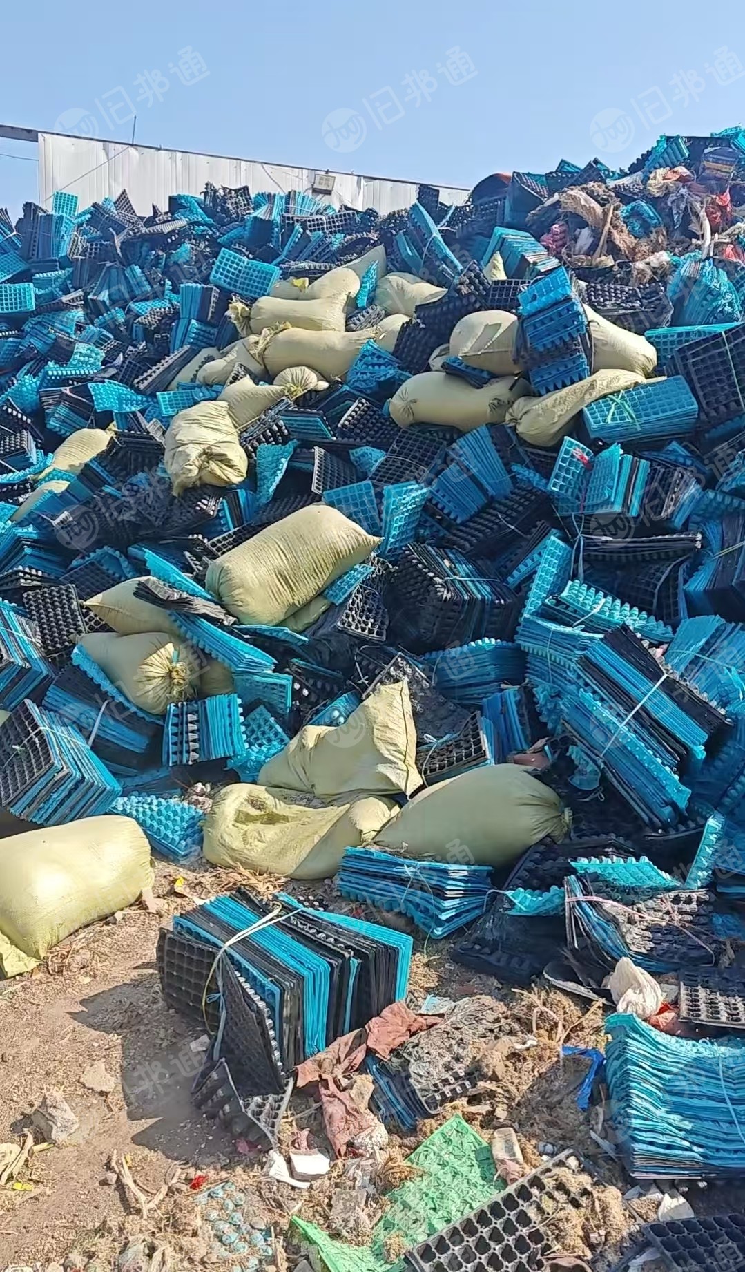 出售PET废旧秧盘废料，长期有货