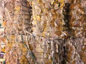 出售本色单面淋膜纸