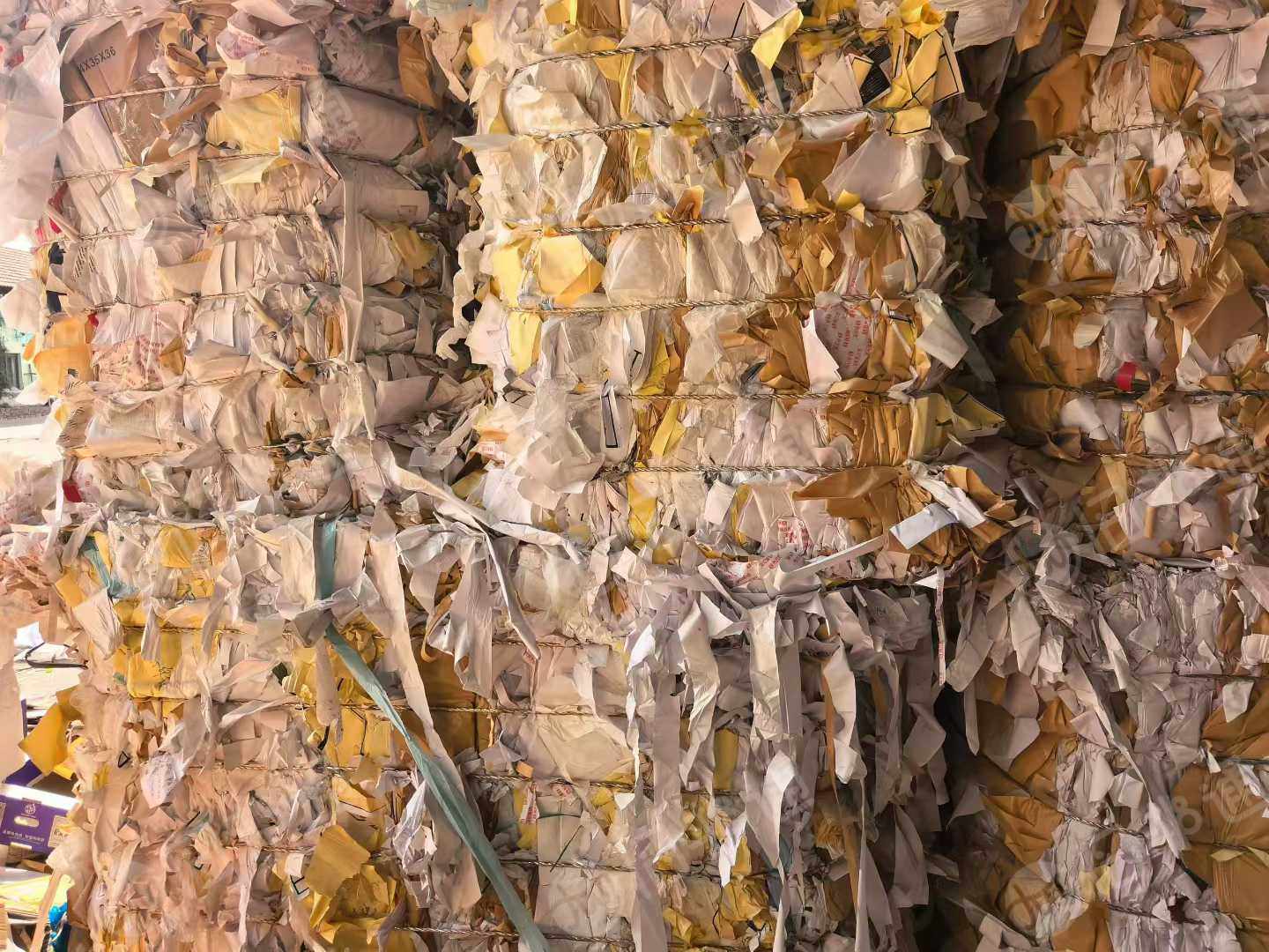 出售本色单面淋膜纸