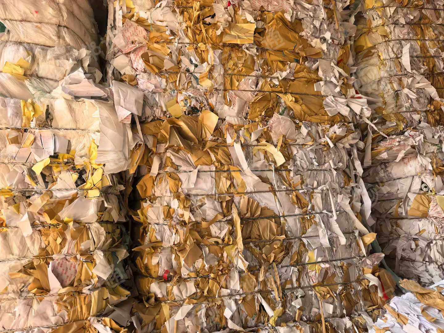 出售本色单面淋膜纸