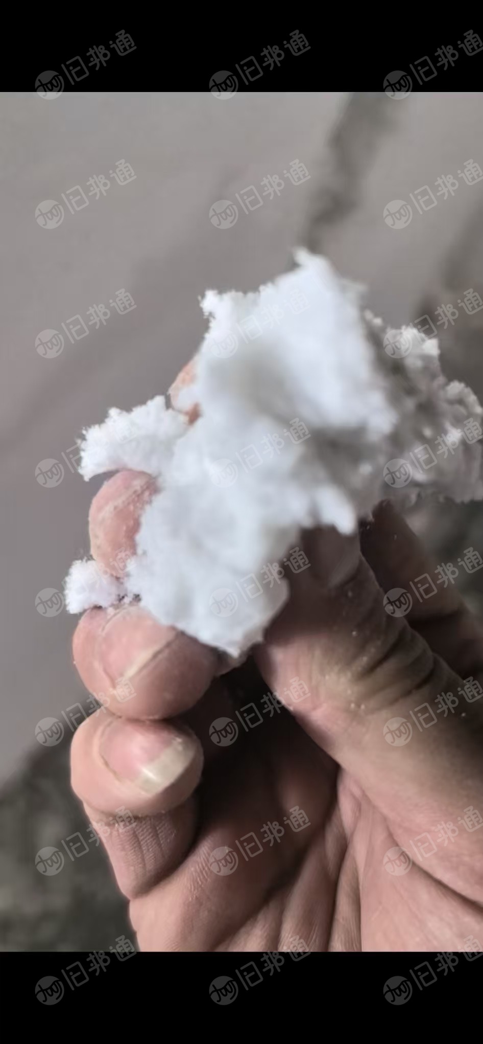 本厂长期求购干净棉粉尘，纯棉涤棉磨毛，废棉，车肚，风箱花，做雪松粉用，要求货都要漂白的。