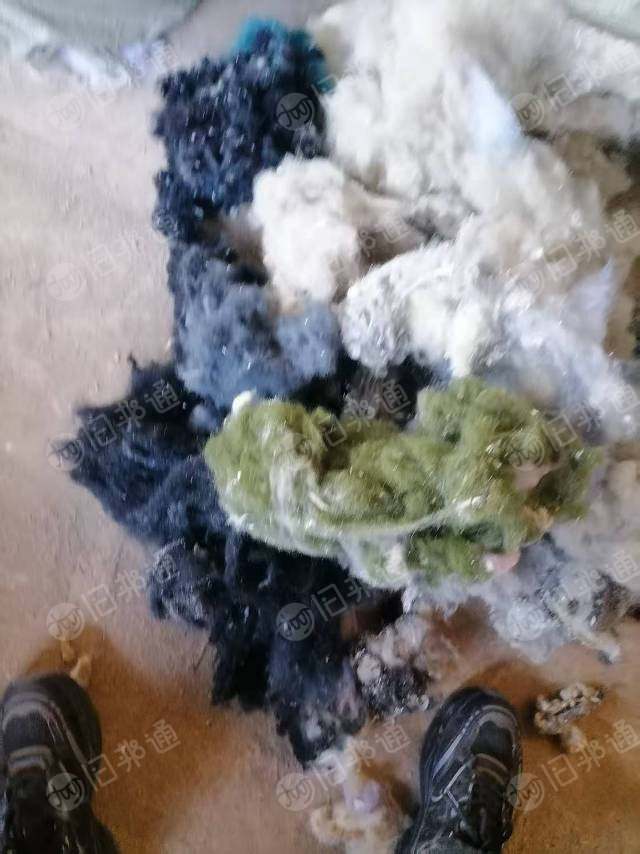 长期回收羊毛羊绒双面呢下脚料精纺回丝回毛扫地毛，主要含羊毛都可以