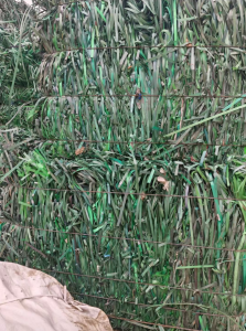 常年出售PET打包带废料