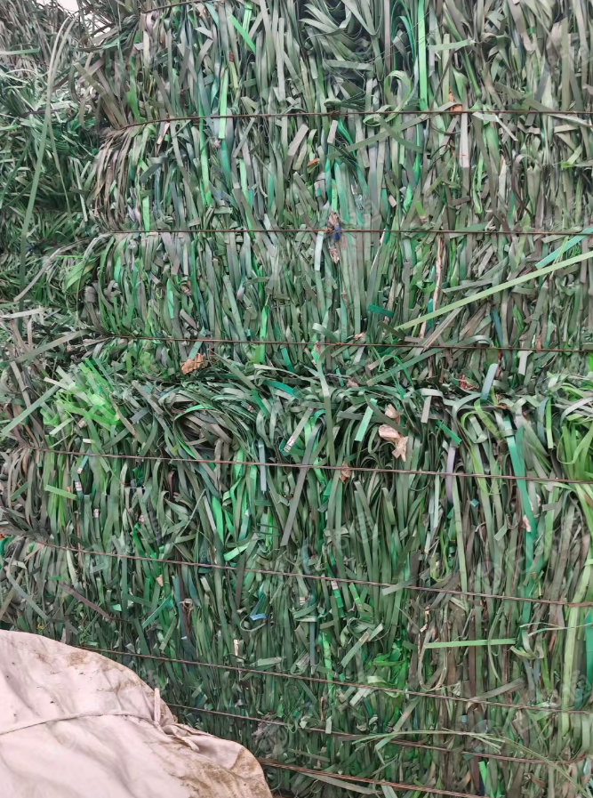 常年出售PET打包带废料