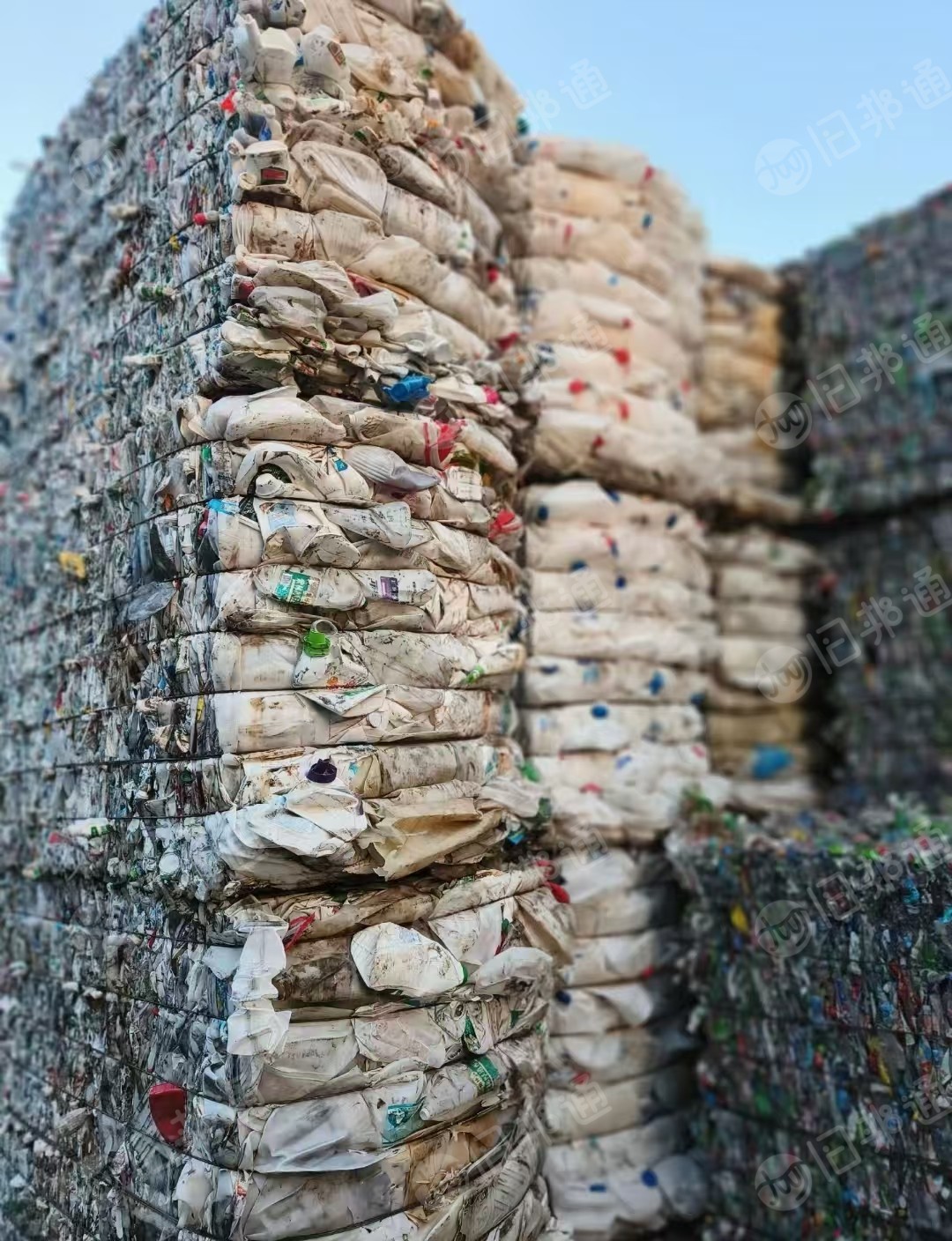 长期出售花乙压块，白乙压块