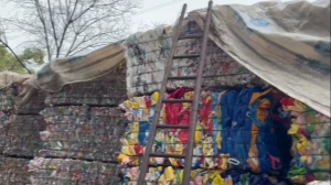 长期出售花乙压块，白乙压块