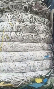 长期出售PP打包带废料