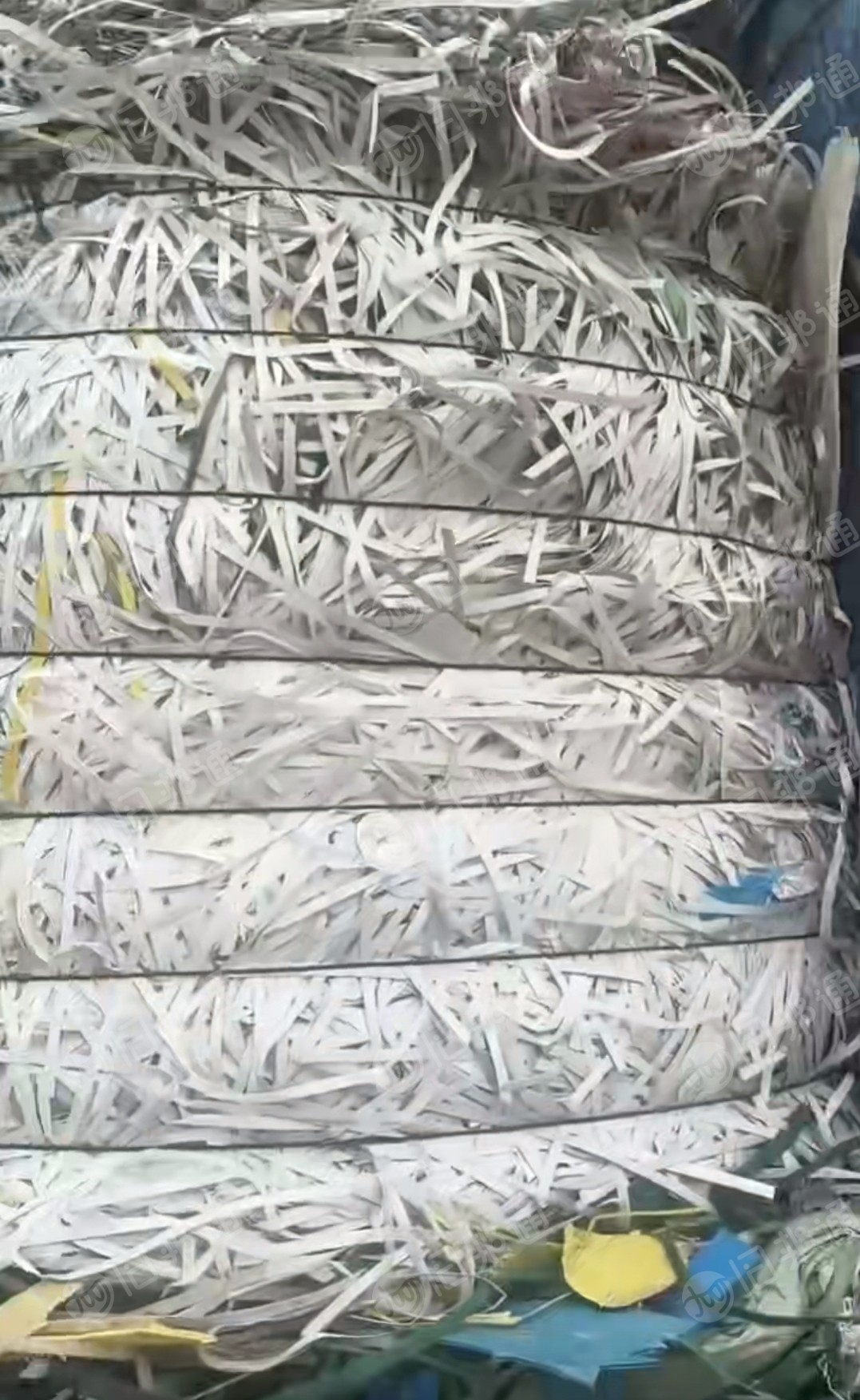 长期出售PP打包带废料