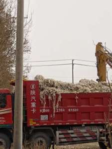 地膜免费送，现在有500亩地的量