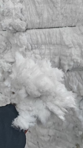 长期大量出售气流纺下来的涤棉漂白鱼籽棉，鱼籽棉，含棉20左右，带线头，货在山东临沂。