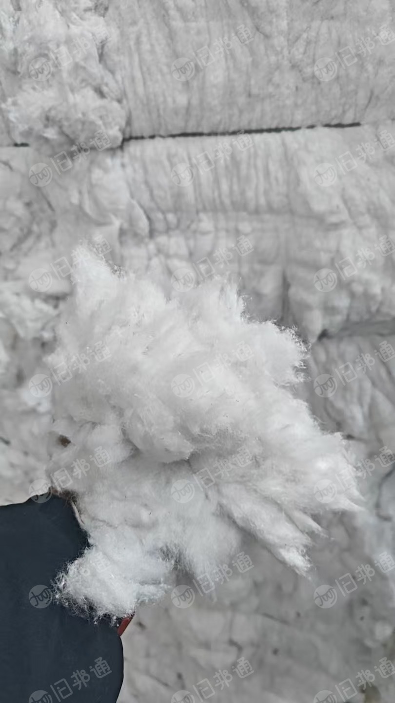 长期大量出售气流纺下来的涤棉漂白鱼籽棉，鱼籽棉，含棉20左右，带线头，货在山东临沂。