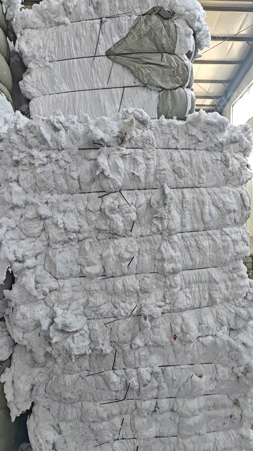 长期大量出售气流纺下来的涤棉漂白鱼籽棉，鱼籽棉，含棉20左右，带线头，货在山东临沂。