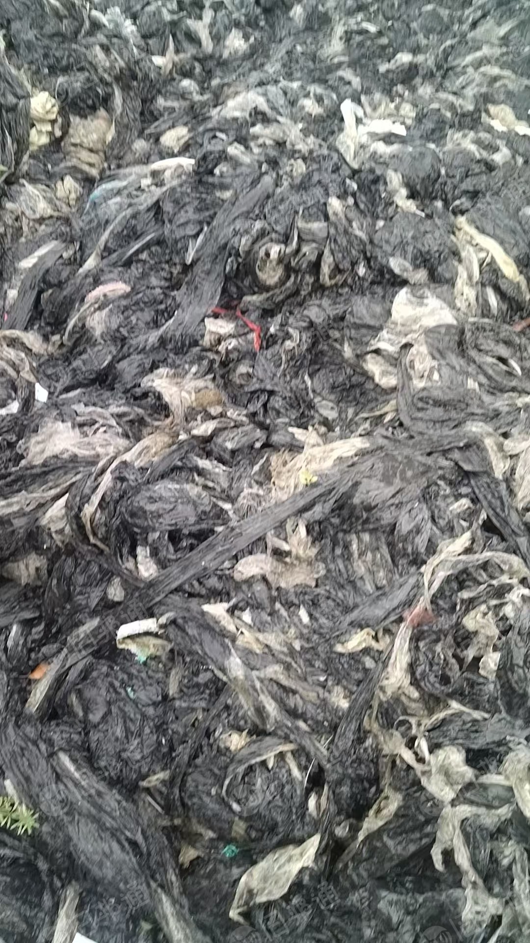 出售黑地膜,种了烤烟的,每年至少100多吨