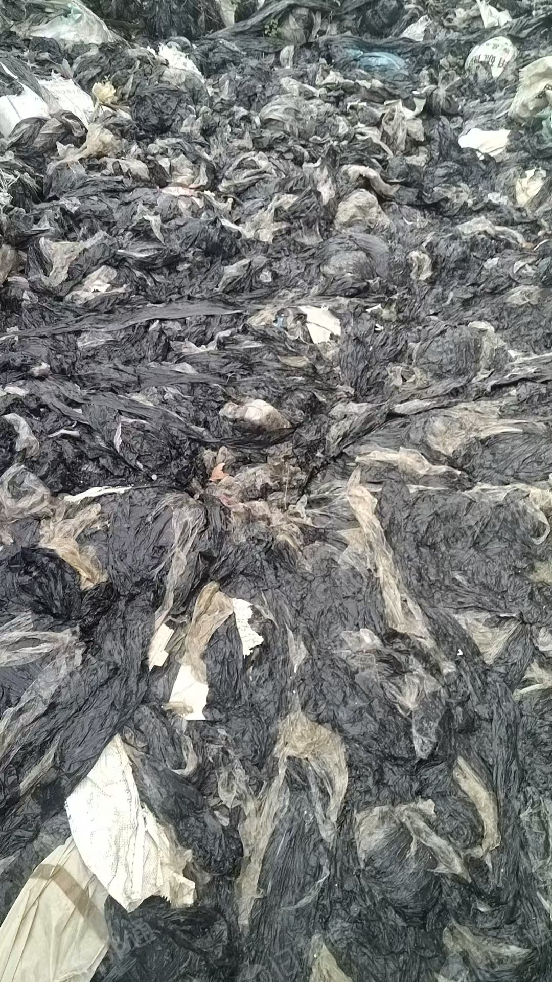 出售黑地膜，种了烤烟的，每年至少100多吨