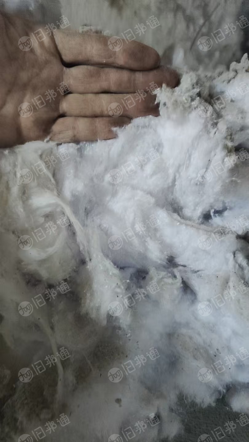 长期出售气流纺下来的涤棉鱼籽棉，漂白本白统货一起走，现货13吨左右